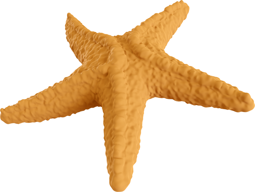 Brown Starfish Cutout